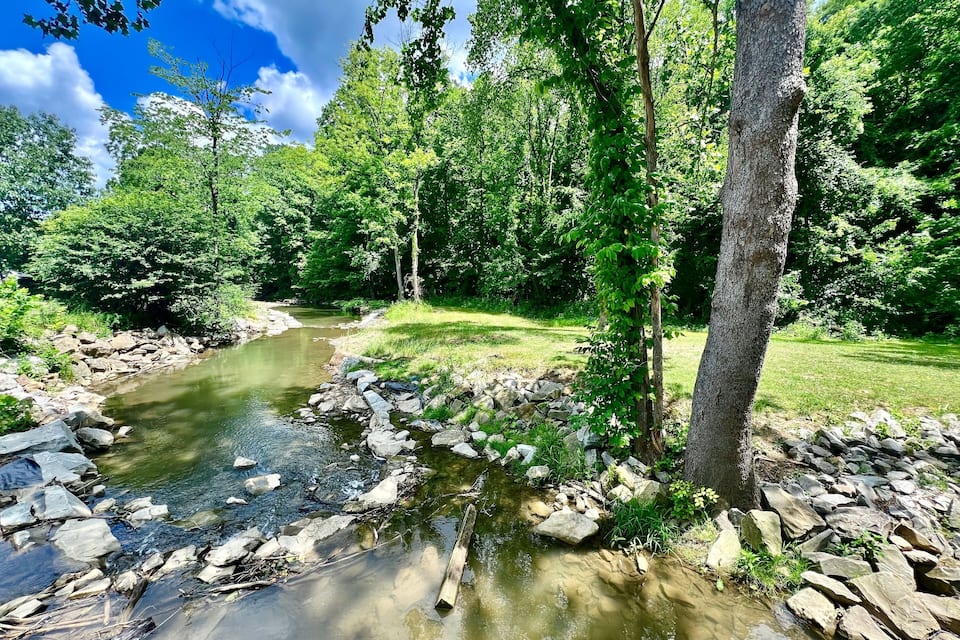 A clear stream with rocks and trees in a forested area.