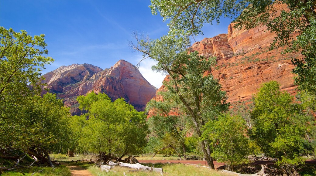 The Grotto Picnic Area