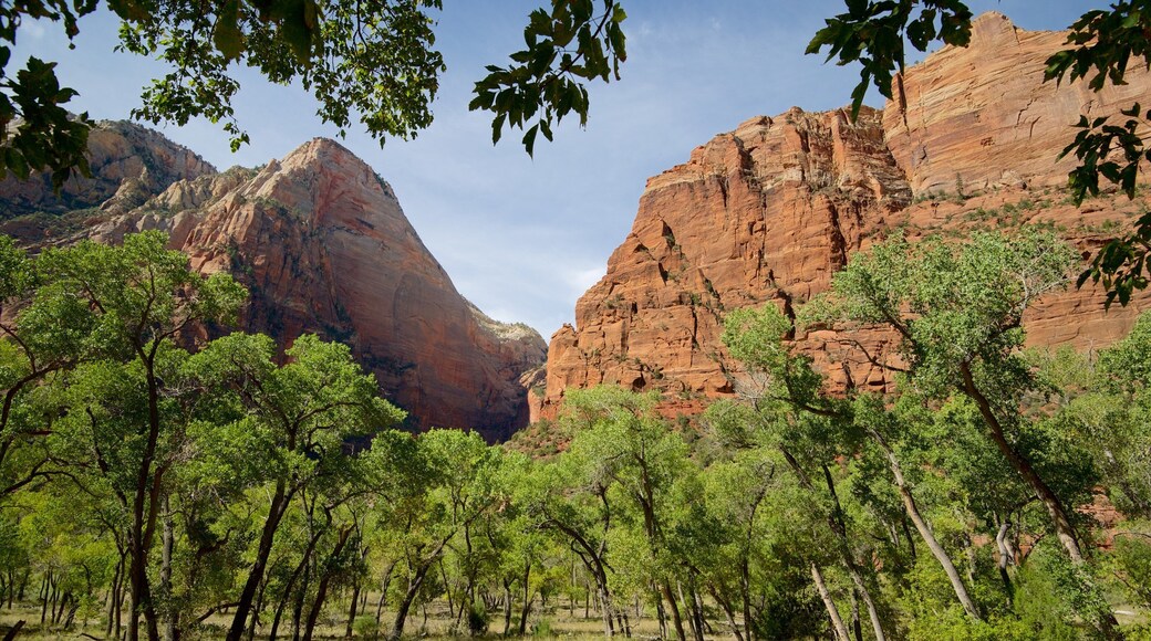 The Grotto Picnic Area