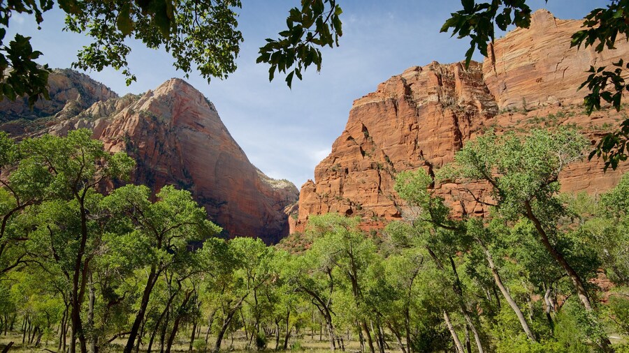 The Grotto Picnic Area