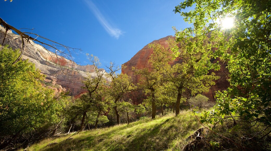Zion National Park toont vredige uitzichten en landschappen
