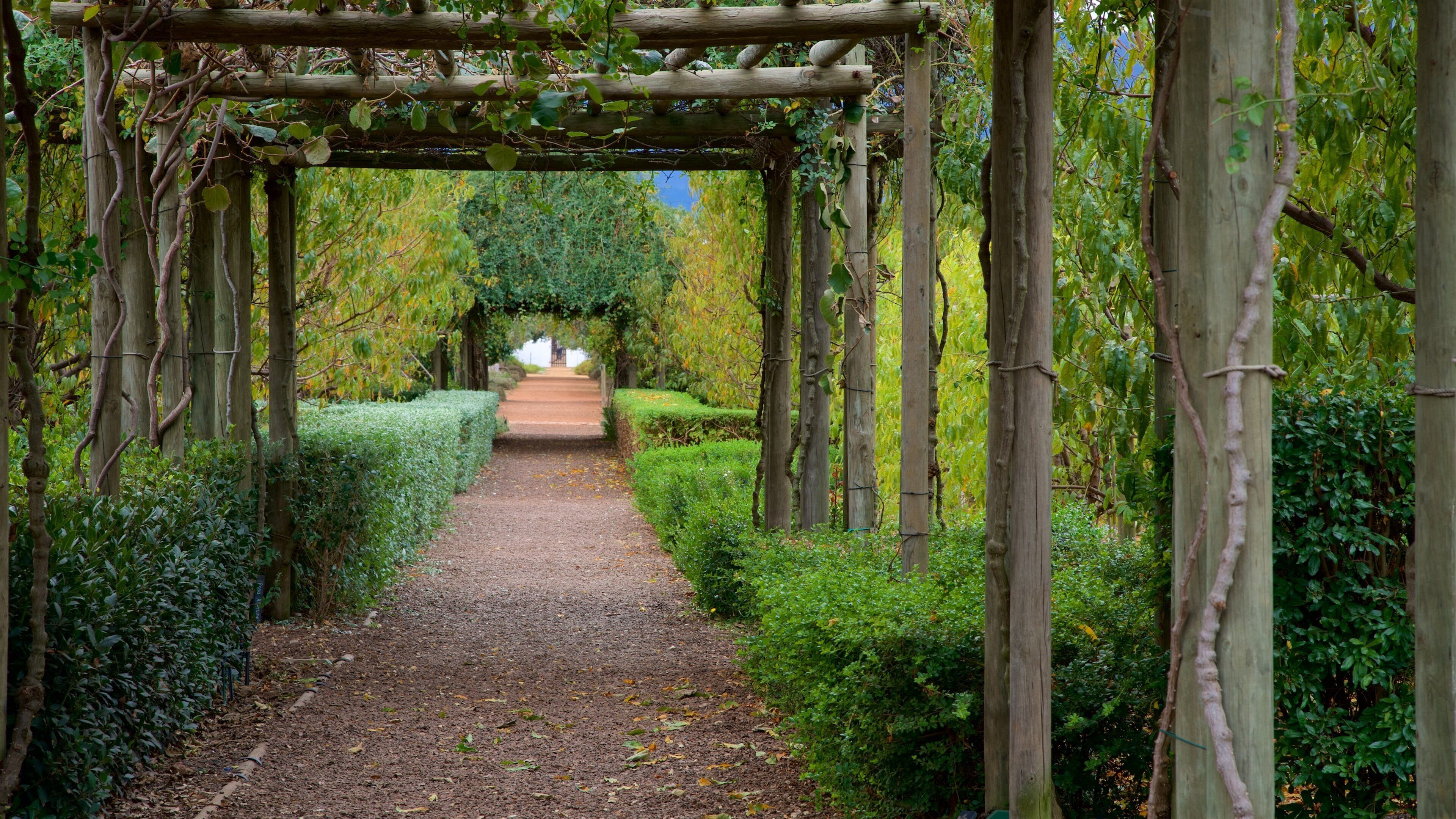 A garden pathway with a wooden pergola, surrounded by neatly trimmed hedges and trees.