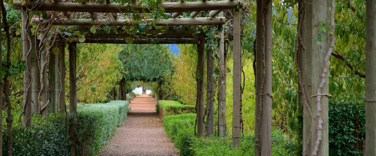A garden pathway with a wooden pergola, surrounded by neatly trimmed hedges and trees.