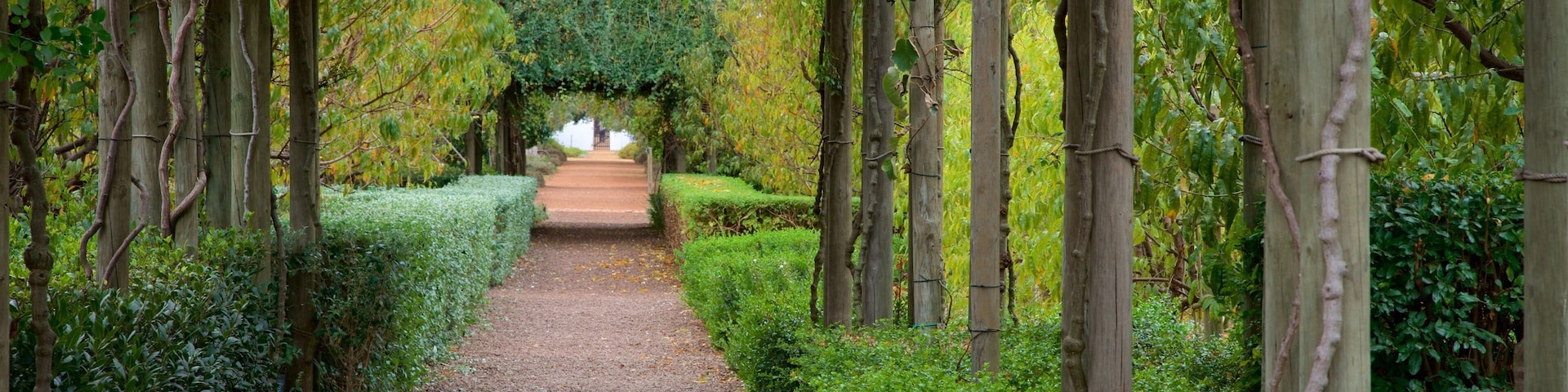 A garden pathway with a wooden pergola, surrounded by neatly trimmed hedges and trees.