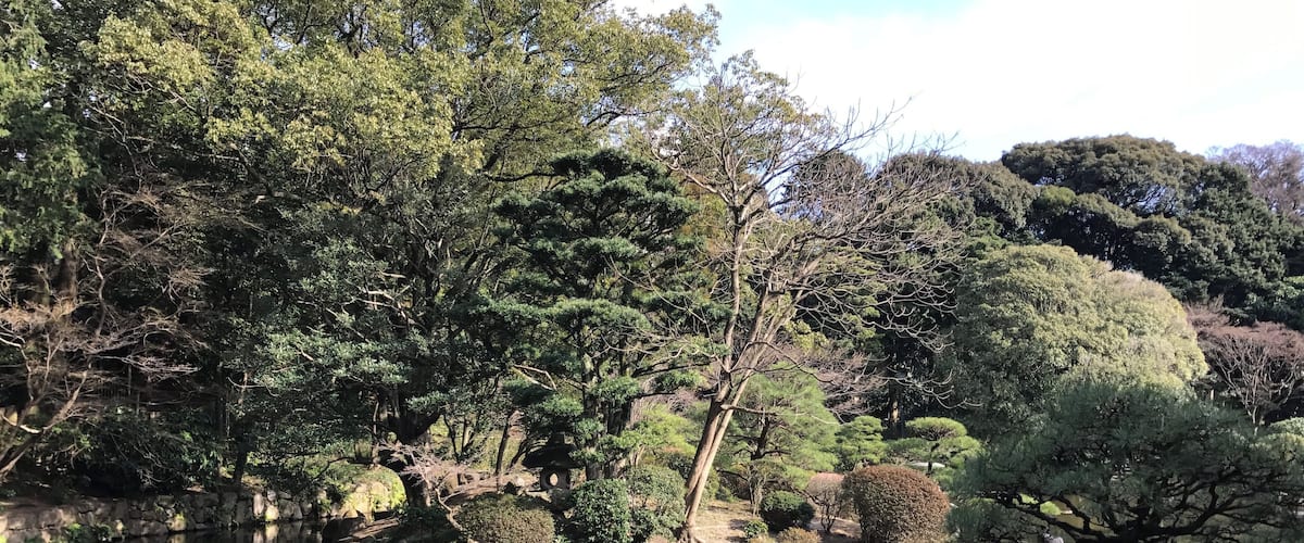 友泉亭公園の池と蓬莱島