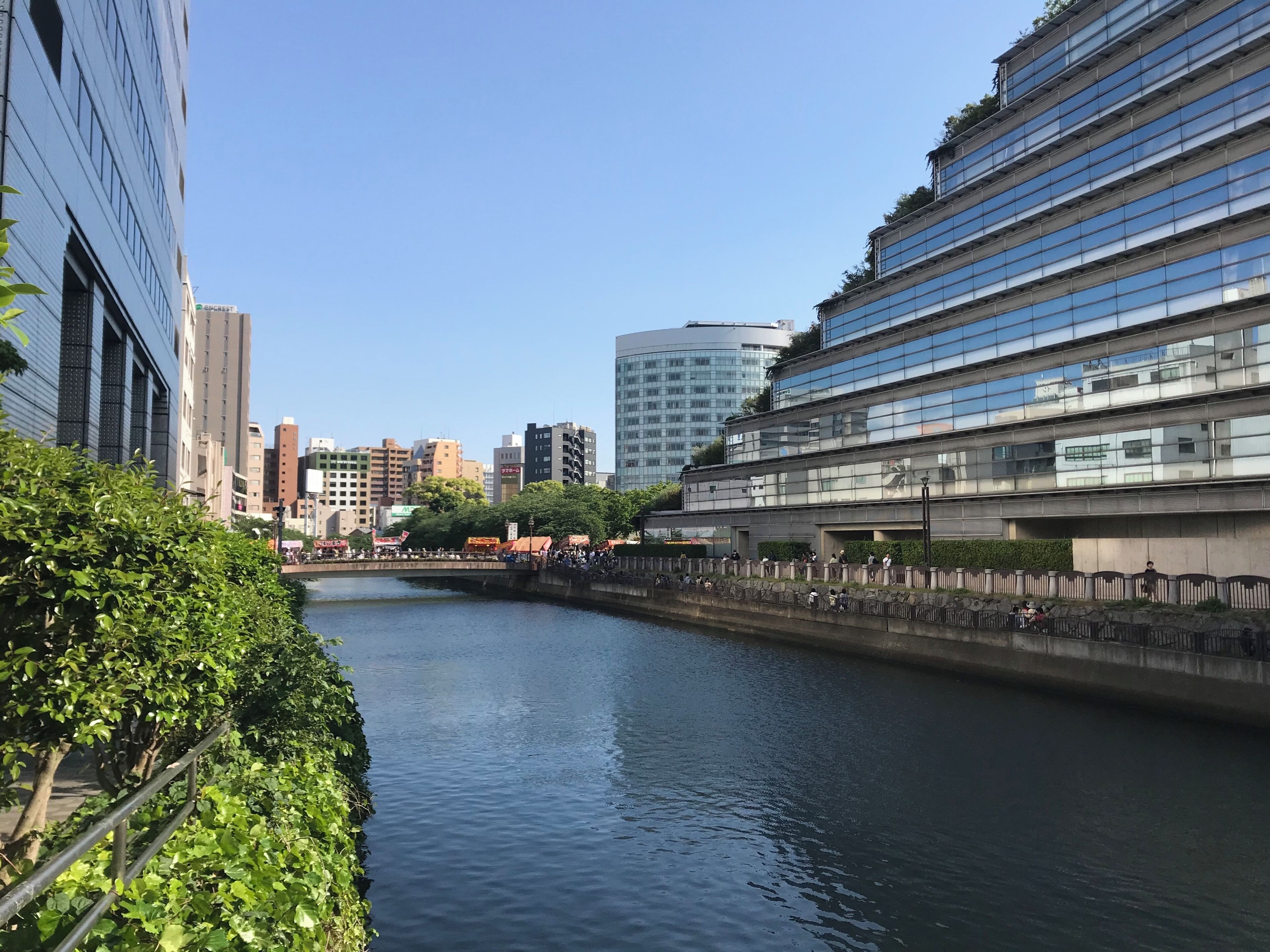 天神橋より望む薬院新川(上流側)