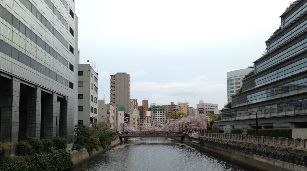 ć€©ç„æ©ăăæăèŹéąæ°ć·(怩ç„äžć€źć
Źćæčéą)