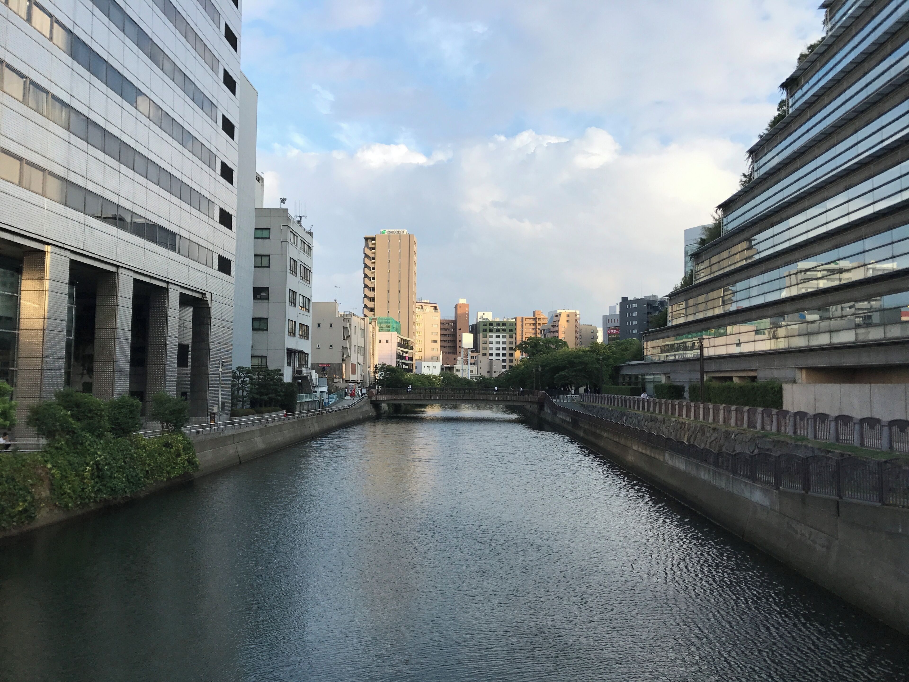 天神橋より望む薬院新川(上流側)