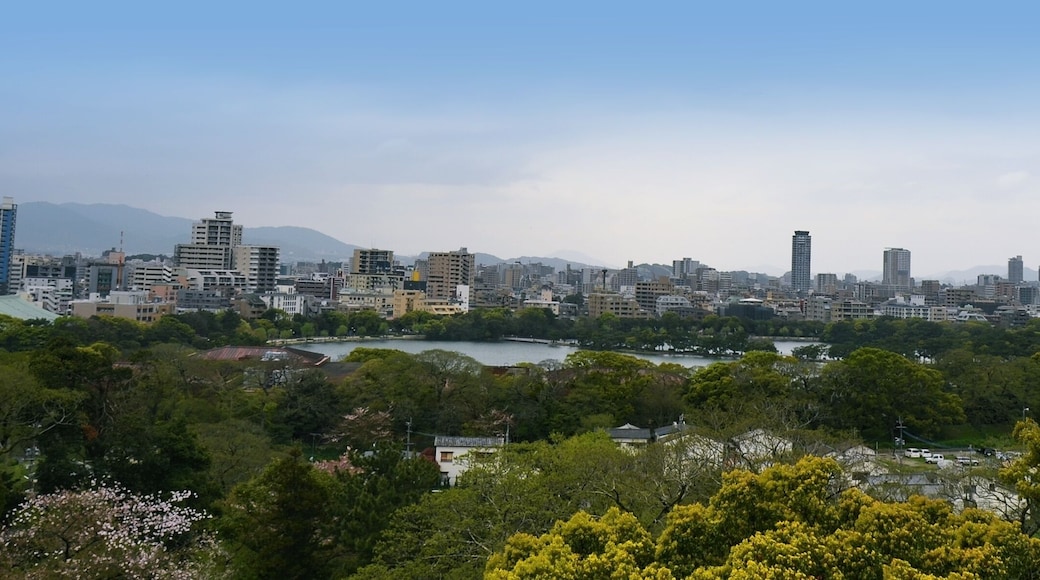 Barrio especial de Minami