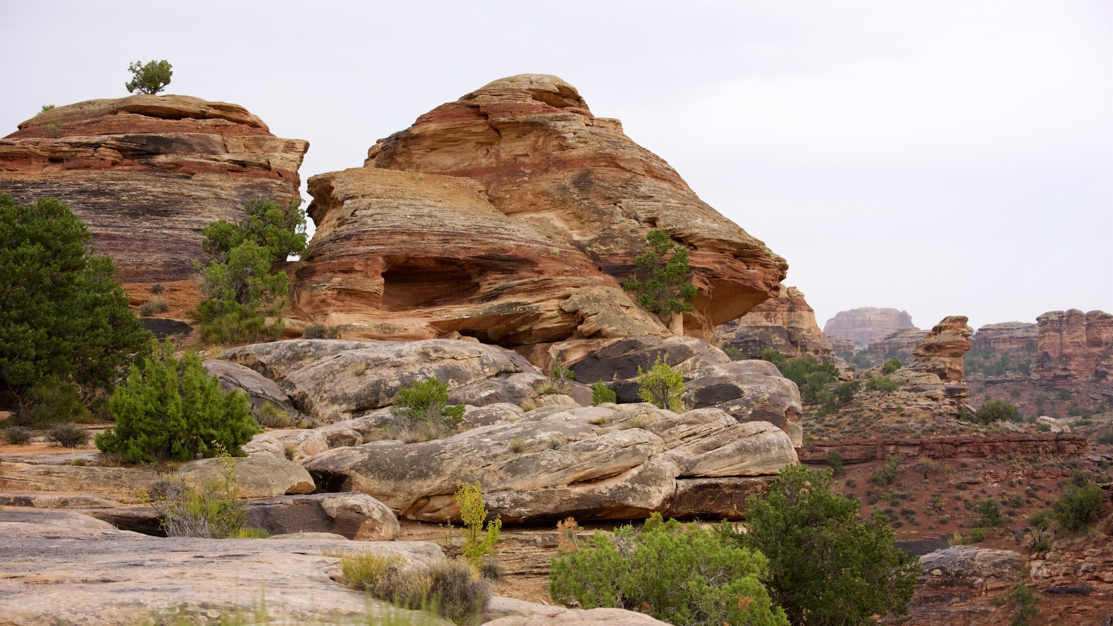 Big Spring Canyon Overlook