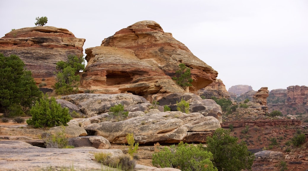 Big Spring Canyon Overlook