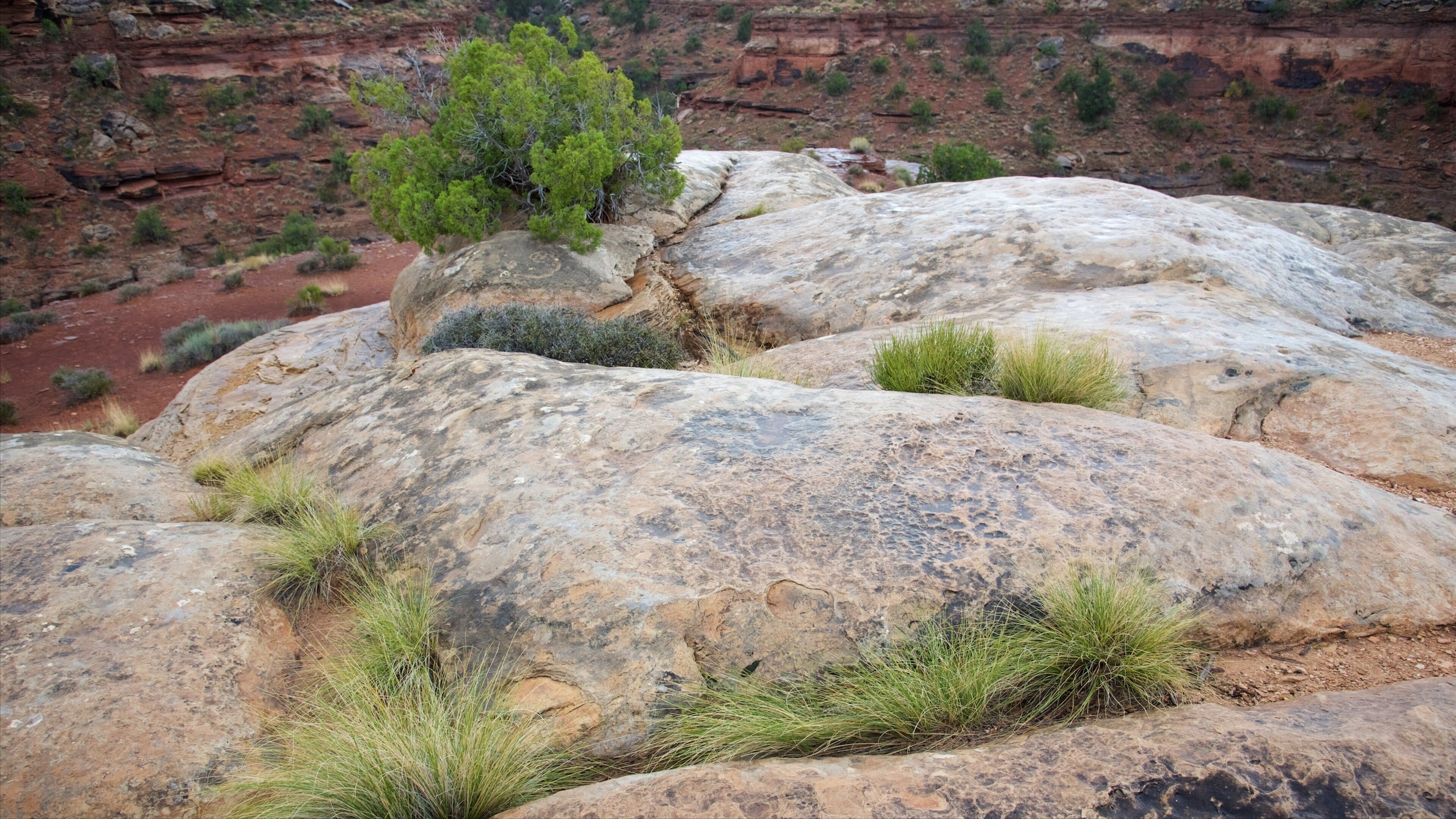 Big Spring Canyon Overlook