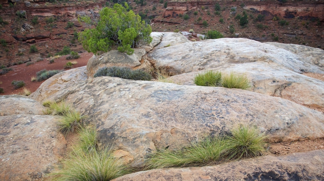 Big Spring Canyon Overlook