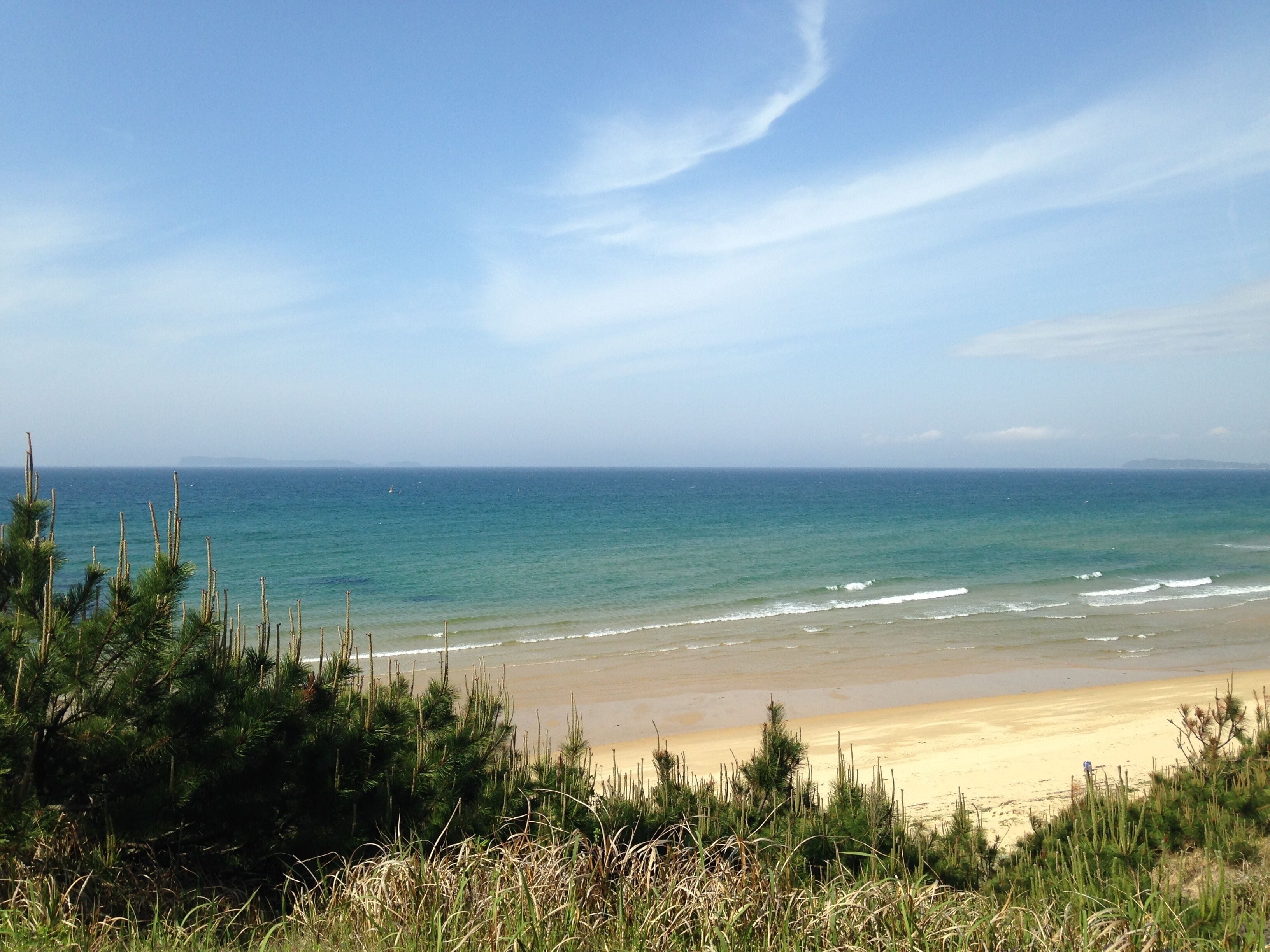 A beach with clear blue water, sandy shore, and green vegetation in the foreground.
