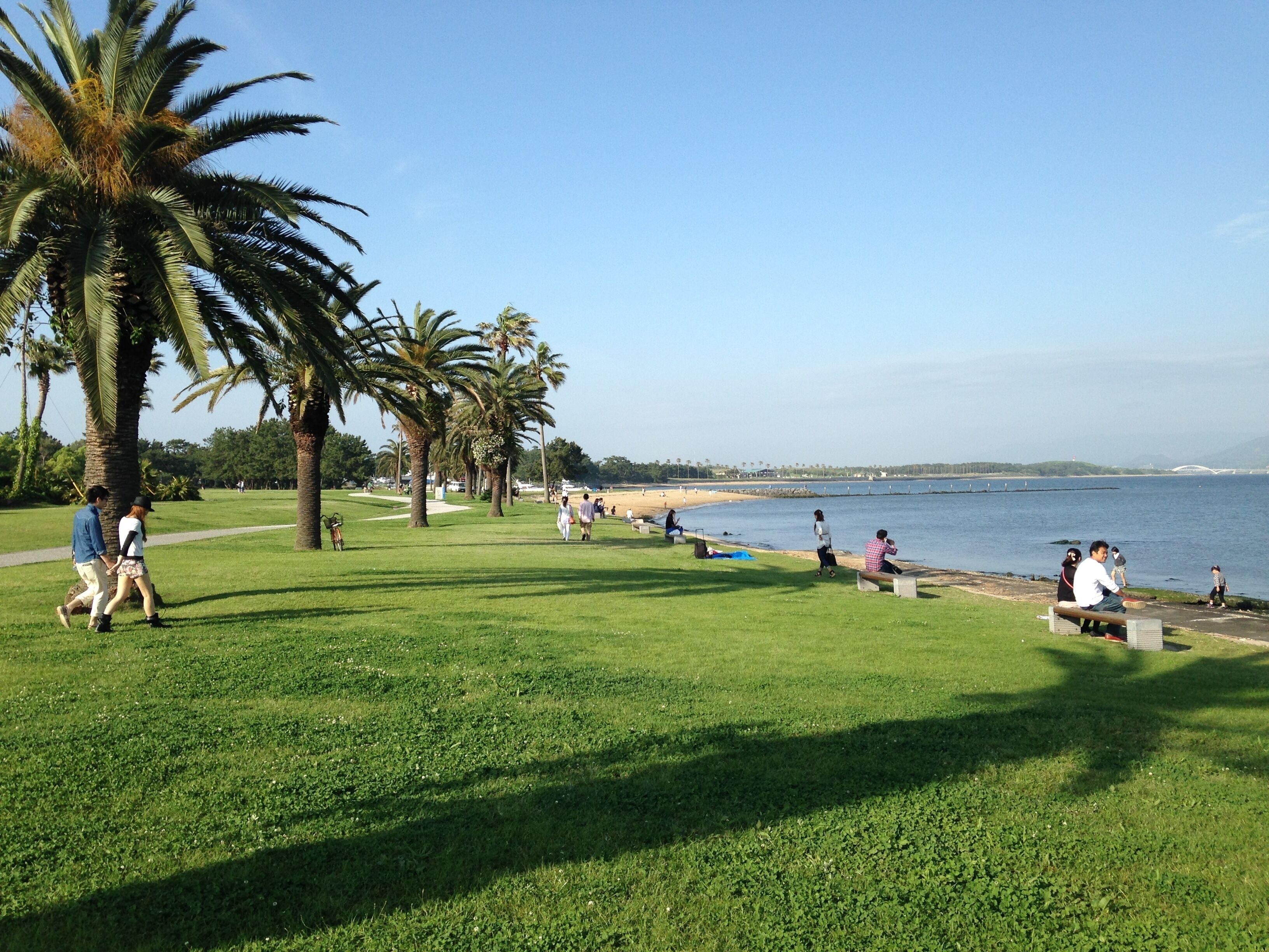 マリンワールド海の中道付近の公園と博多湾