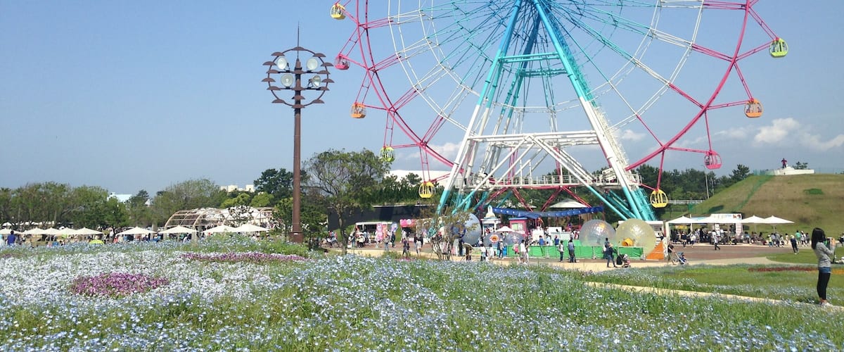 海の中道海浜公園の観覧車とネモフィラ