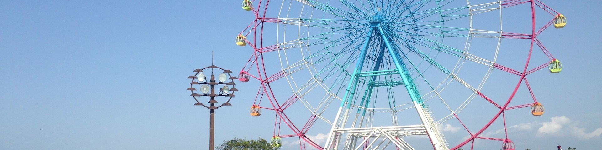 海の中道海浜公園の観覧車とネモフィラ