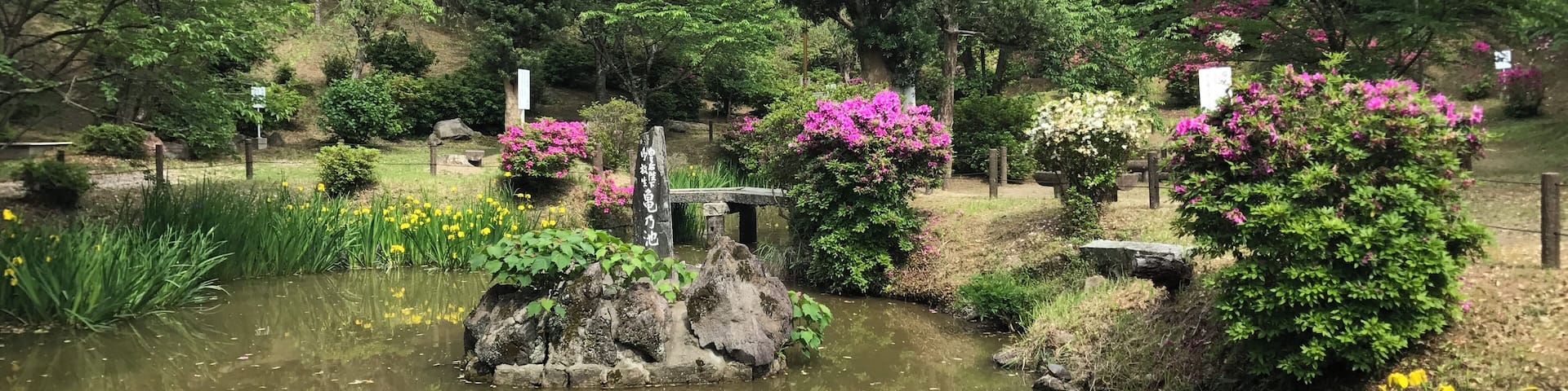 A serene garden with a pond, lush greenery, and blooming flowers.