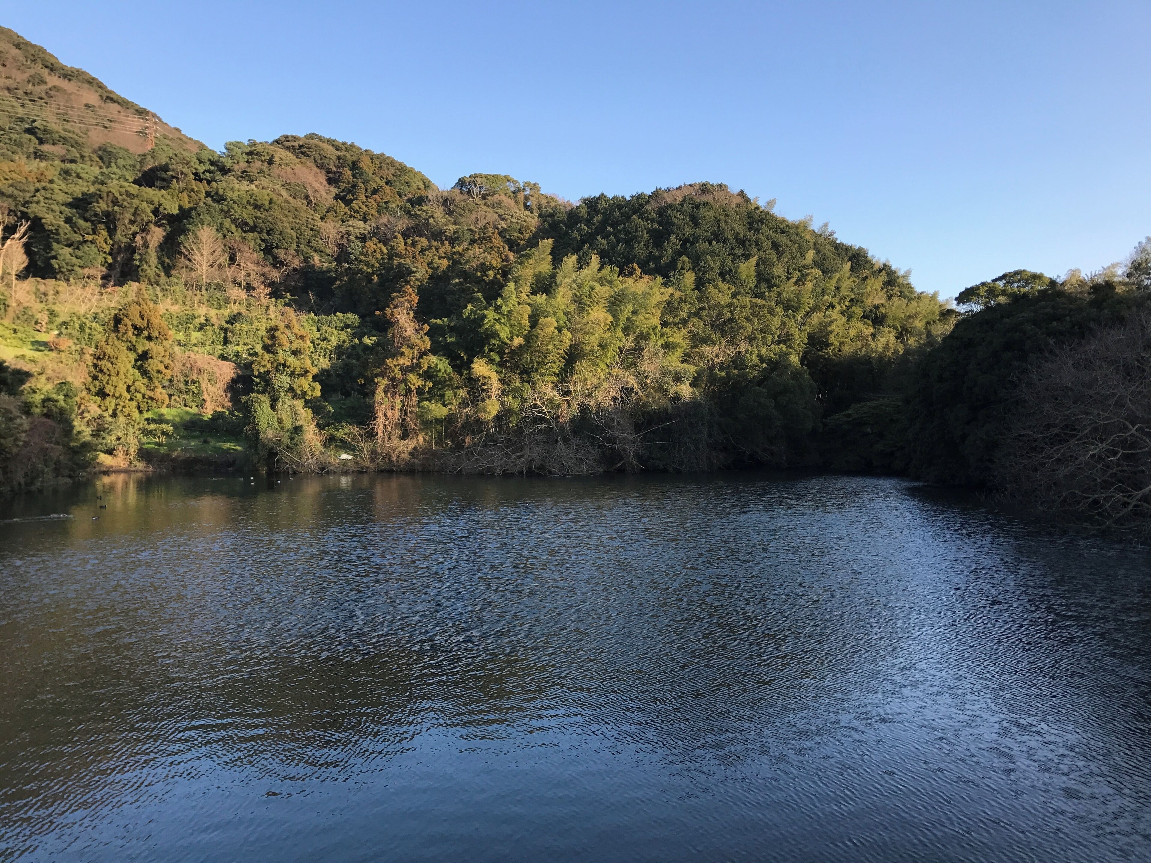 福岡県糟屋郡新宮町原上の佐山池