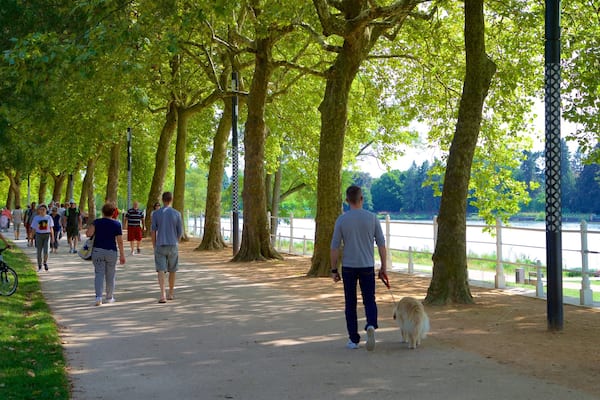 Vichy montrant randonnée ou marche à pied, jardin et animaux domestiques ou inoffensifs