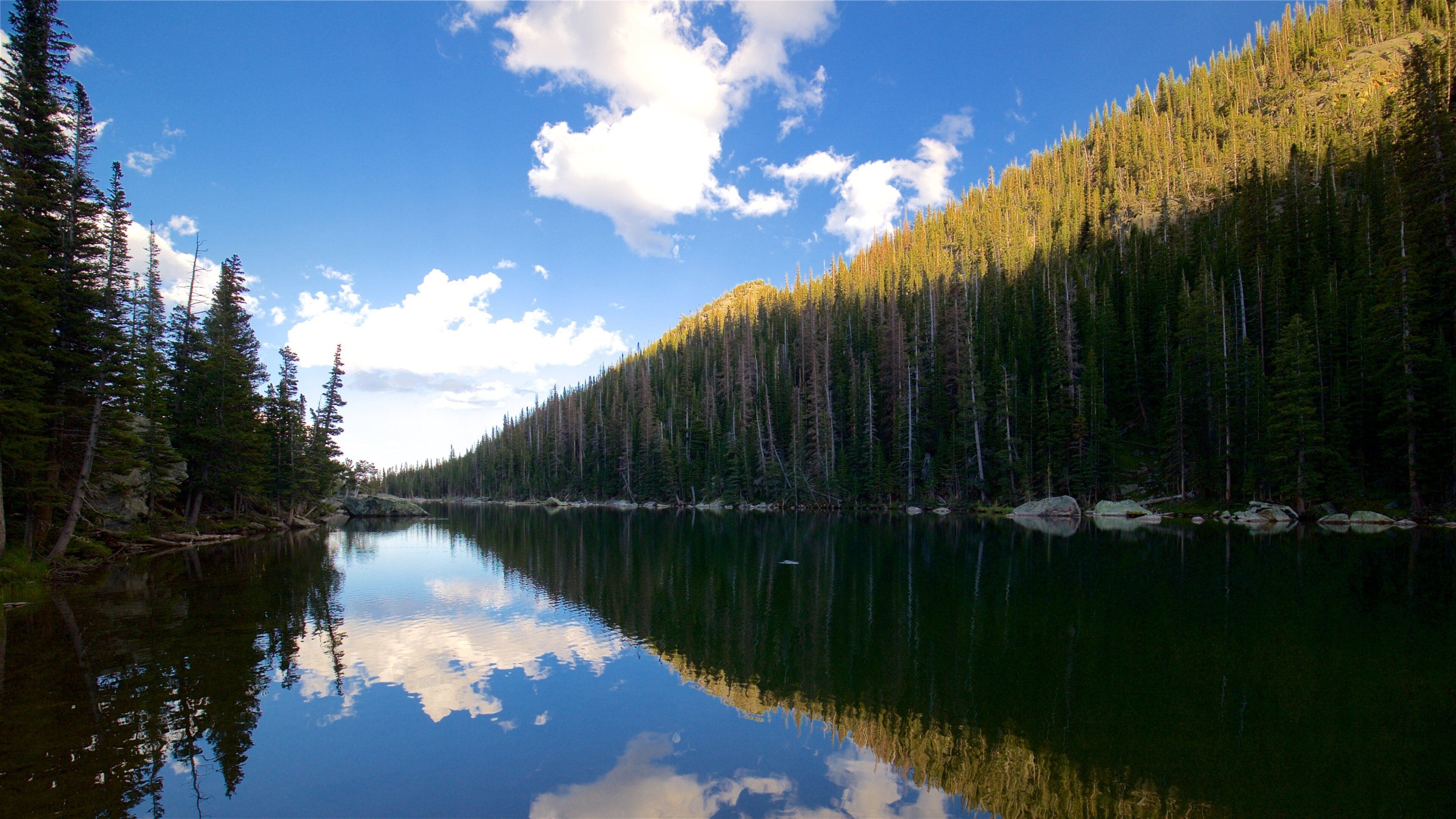 Dream Lake featuring forest scenes and a river or creek