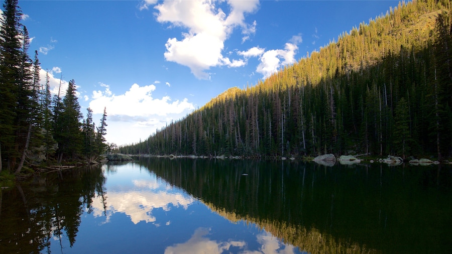 Dream Lake featuring forest scenes and a river or creek