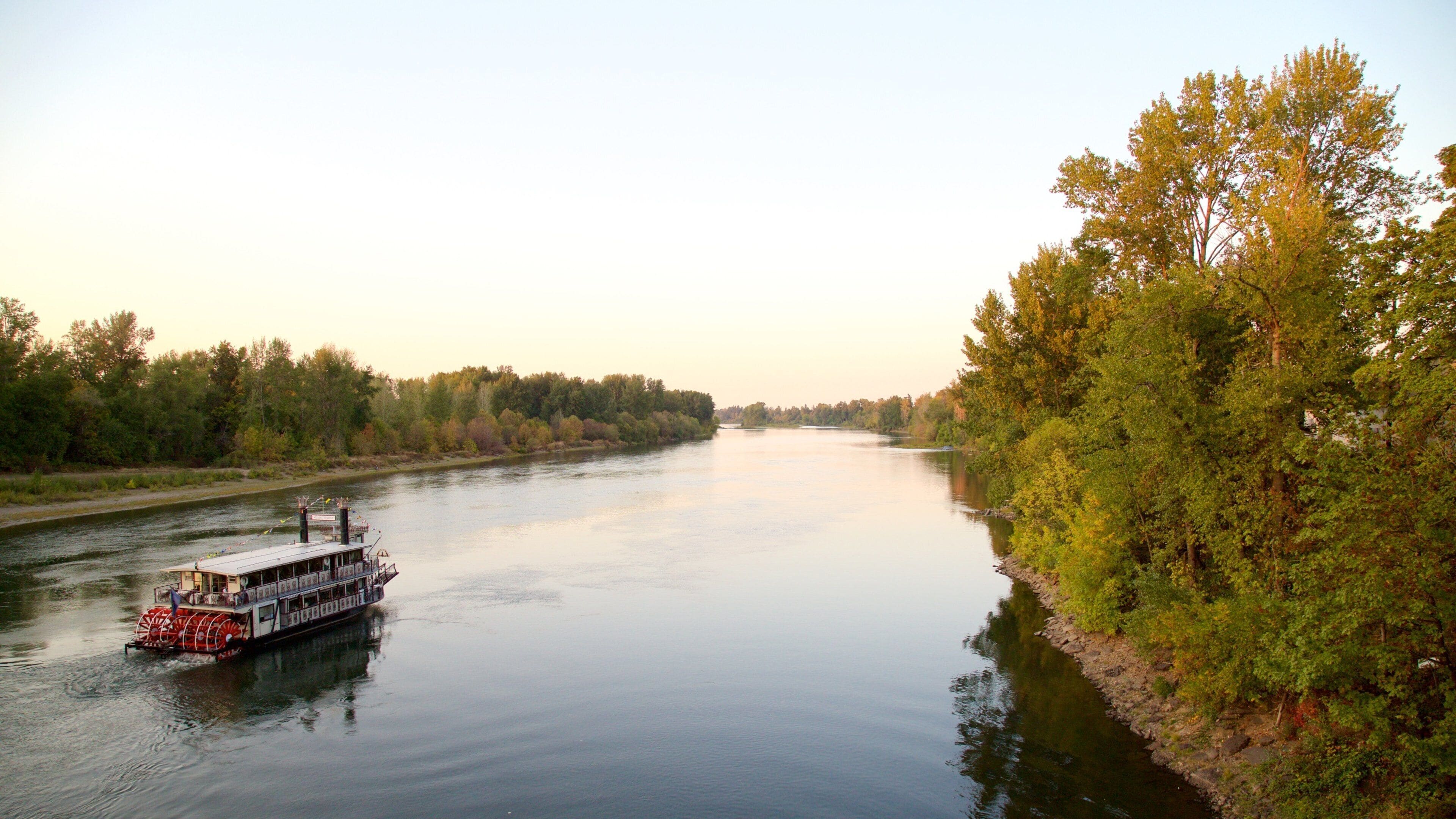 A river with a steamboat, surrounded by dense trees and a clear sky.