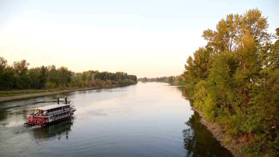 A river with a steamboat, surrounded by dense trees and a clear sky.
