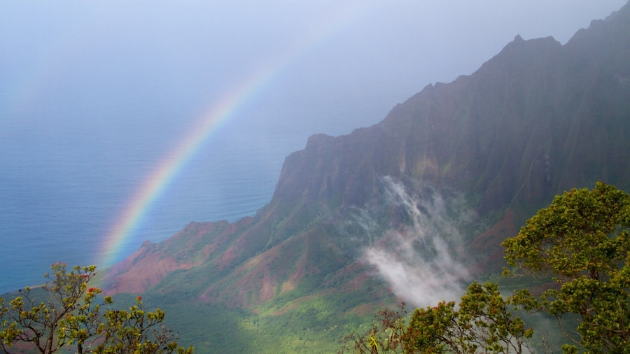 Kauai Island which includes general coastal views and a gorge or canyon