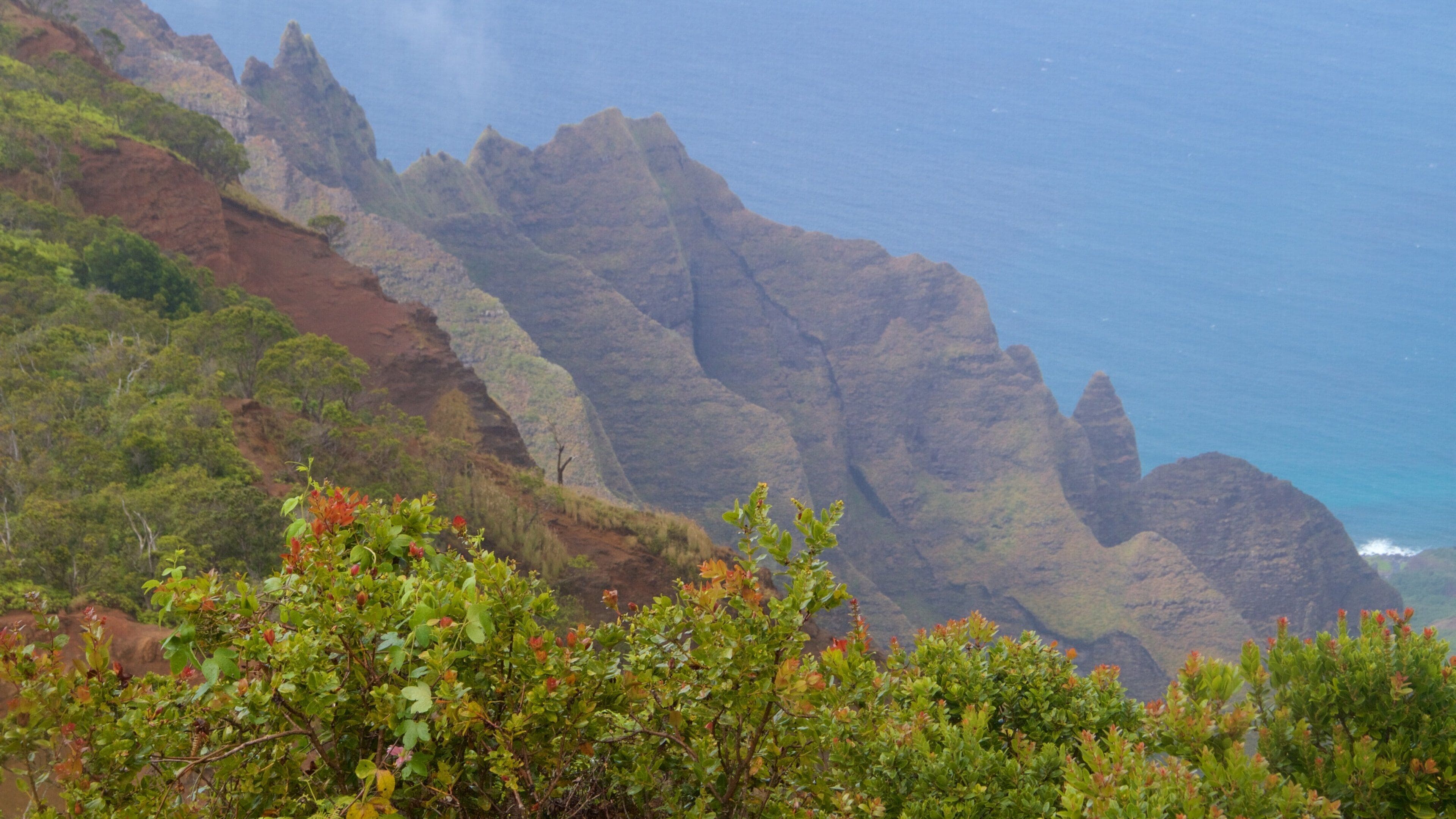 Kalalau Lookout which includes mist or fog, general coastal views and rocky coastline