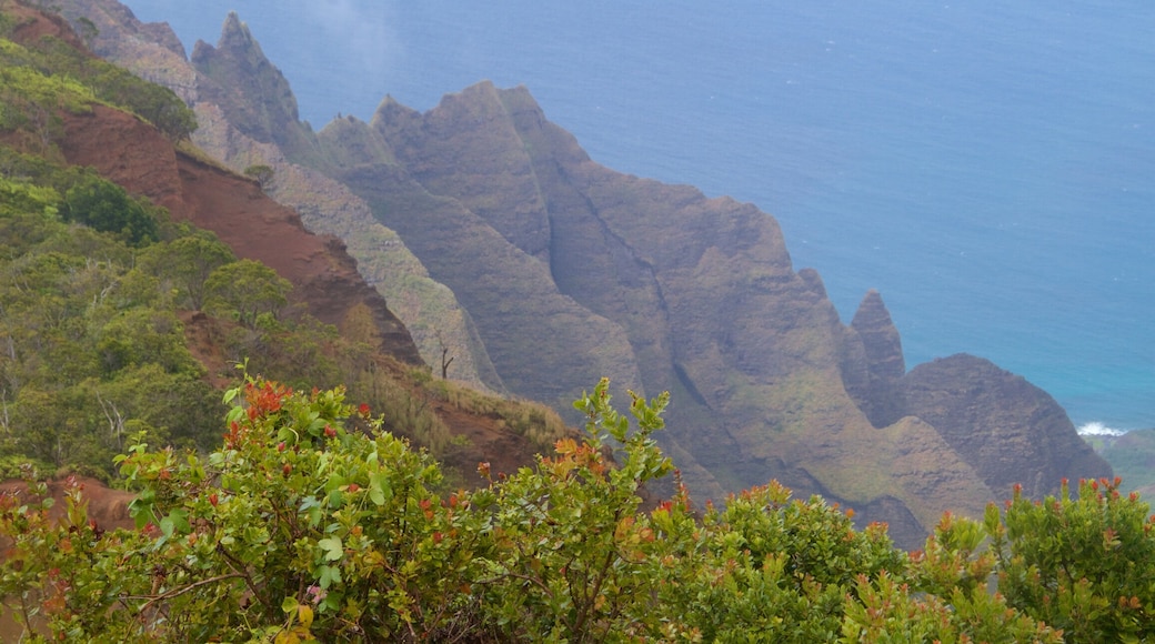 Kalalau Lookout which includes mist or fog, general coastal views and rocky coastline