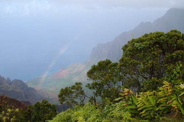 Kalalau Lookout showing mountains, tranquil scenes and mist or fog