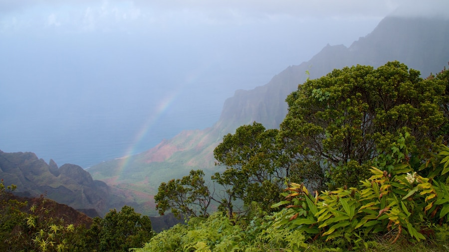 Kalalau Lookout showing mountains, tranquil scenes and mist or fog