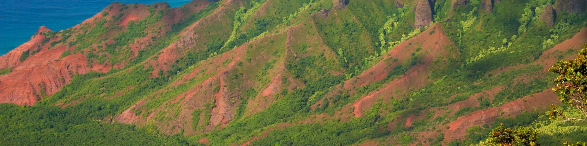 Waimea mettant en vedette vues littorales, montagnes et panoramas