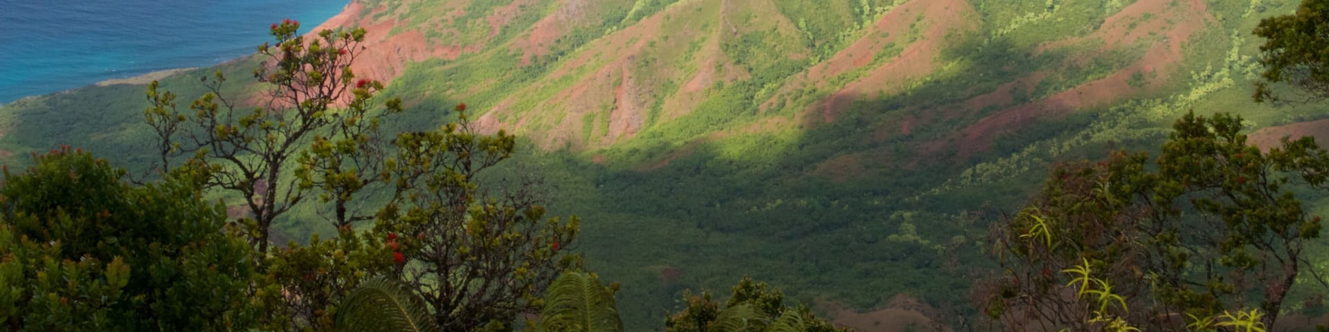 Kalalau Lookout which includes general coastal views, landscape views and rocky coastline