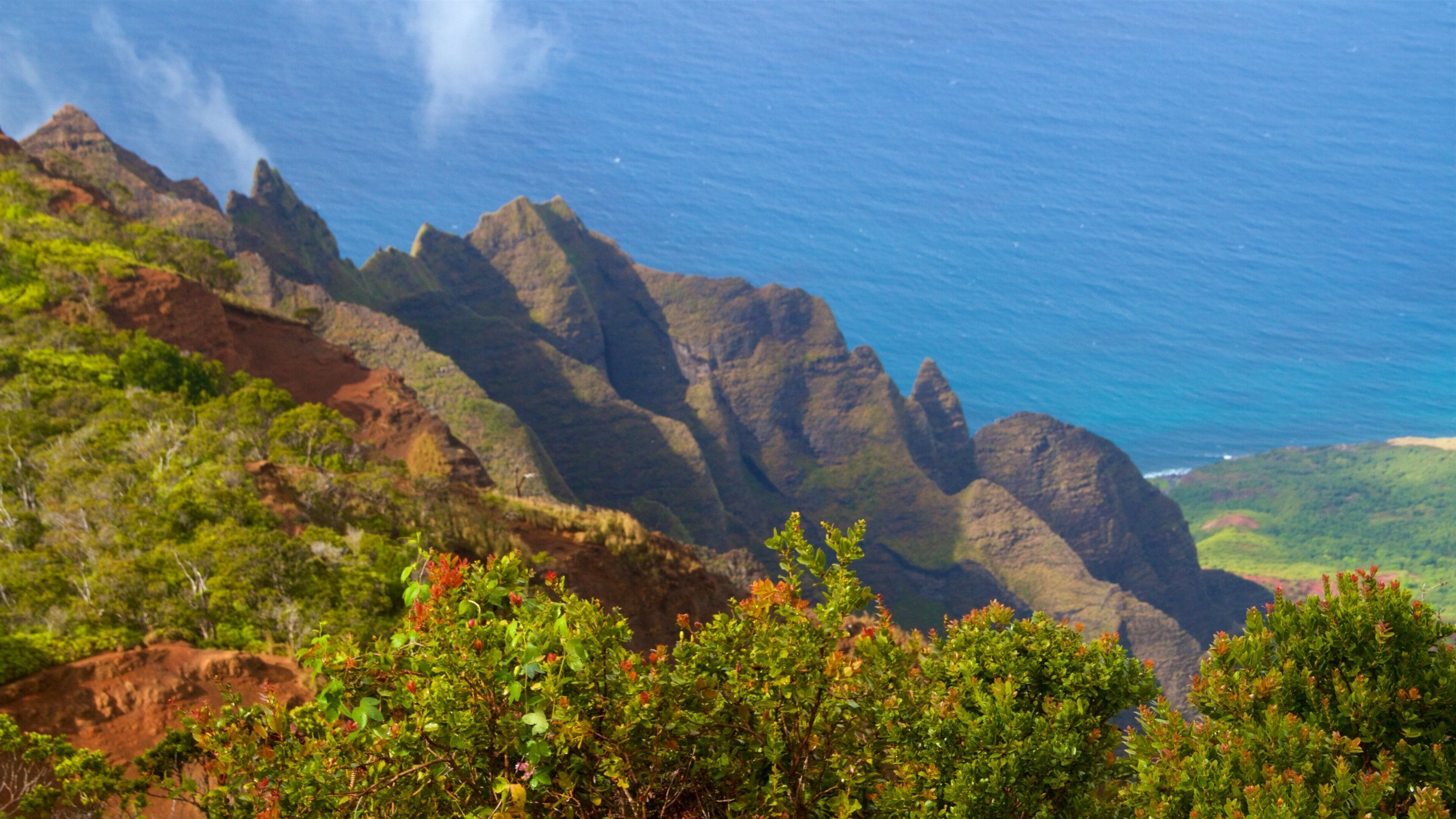 Kalalau Lookout