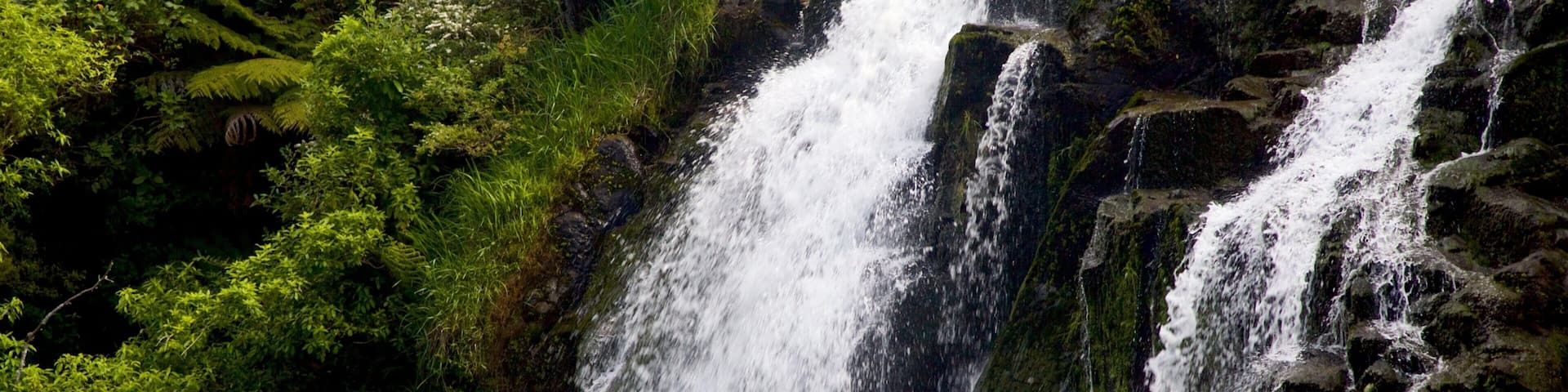 Une cascade à plusieurs niveaux, entourée d’une végétation luxuriante.