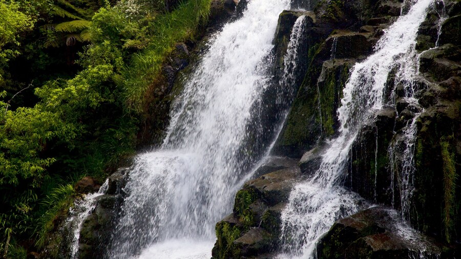 Paeroa showing a waterfall