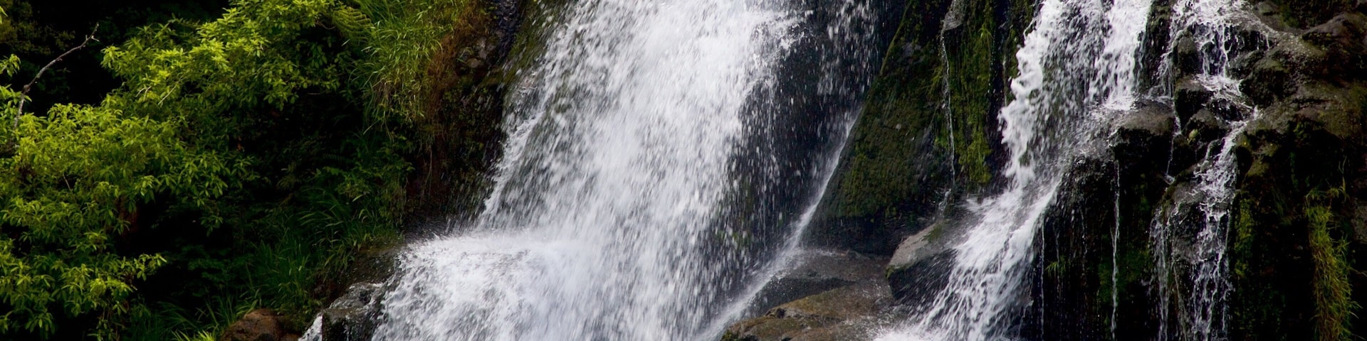 Paeroa das einen Kaskade