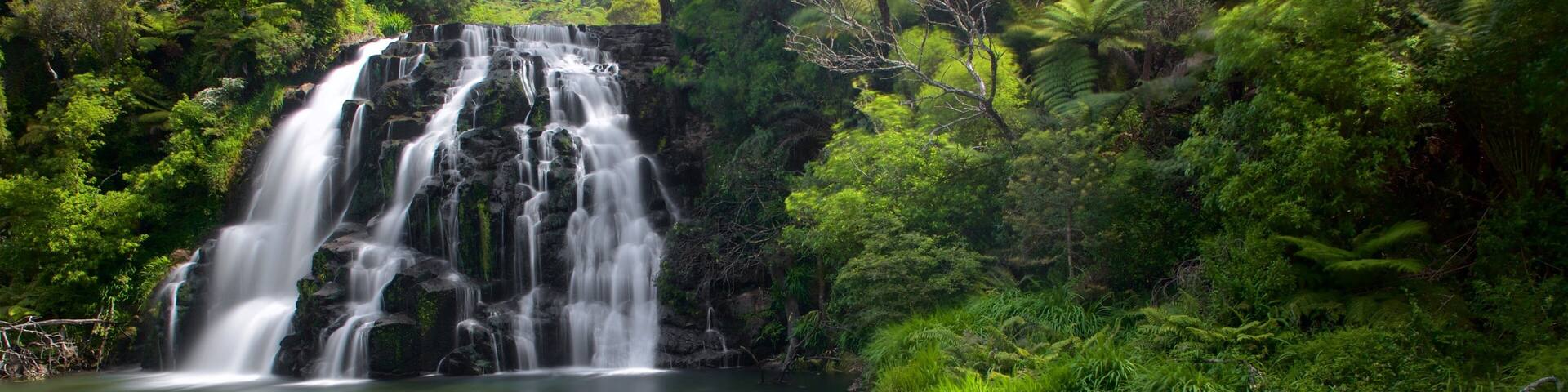 Owharoa Falls which includes a river or creek and a cascade