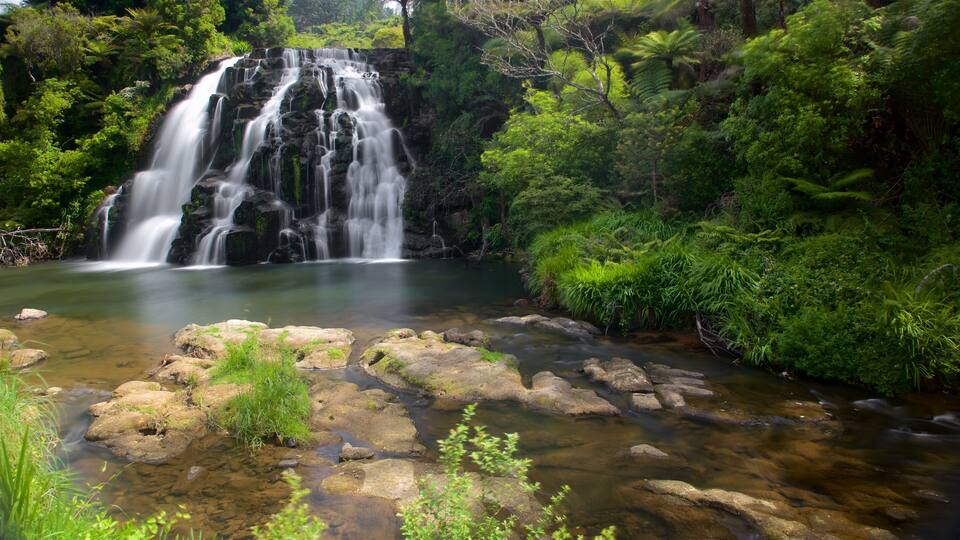 A waterfall cascading over rocks into a clear pool surrounded by lush greenery.
