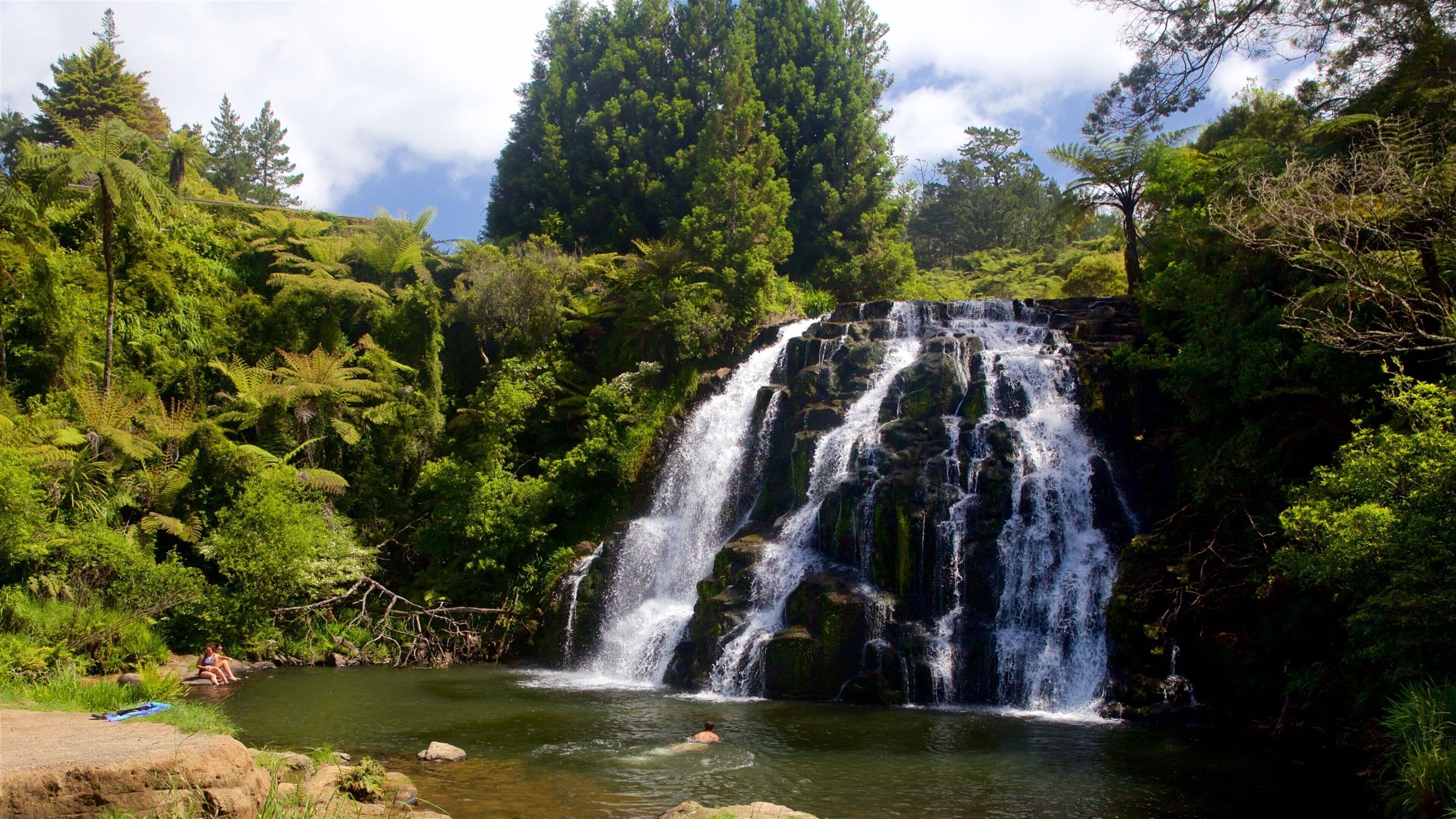 Paeroa som inkluderar en å eller flod och en kaskad