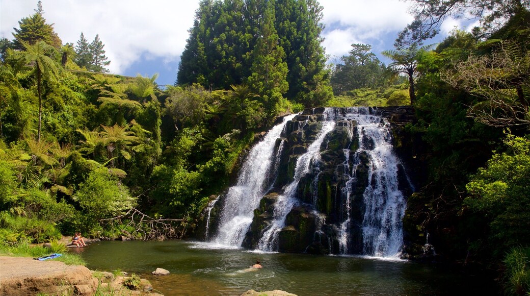 Paeroa som inkluderar en å eller flod och en kaskad