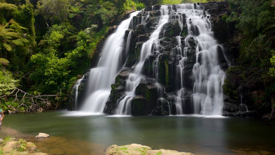 Paeroa which includes a waterfall