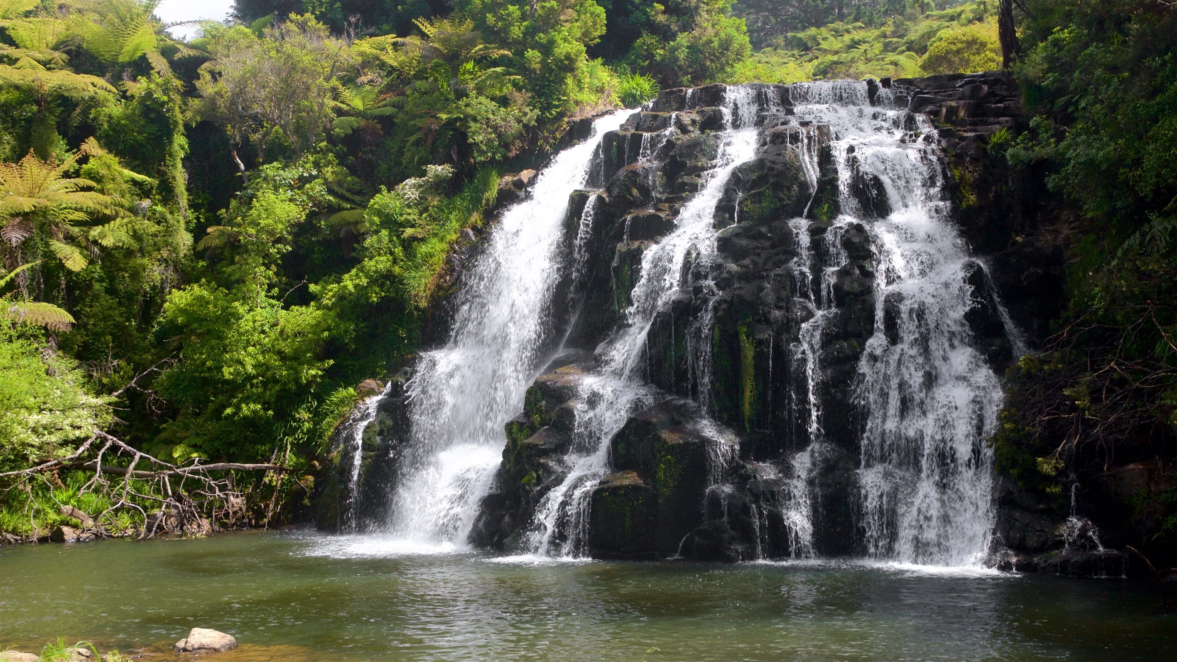 Paeroa som inkluderar en å eller flod och en kaskad