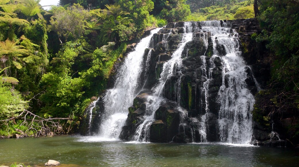 Paeroa som inkluderar en å eller flod och en kaskad