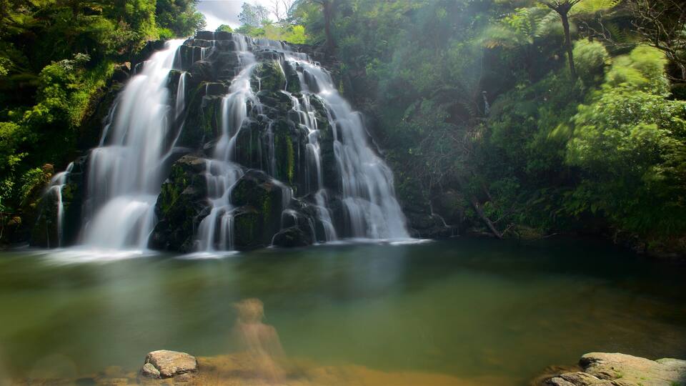 Paeroa showing a waterfall and a river or creek