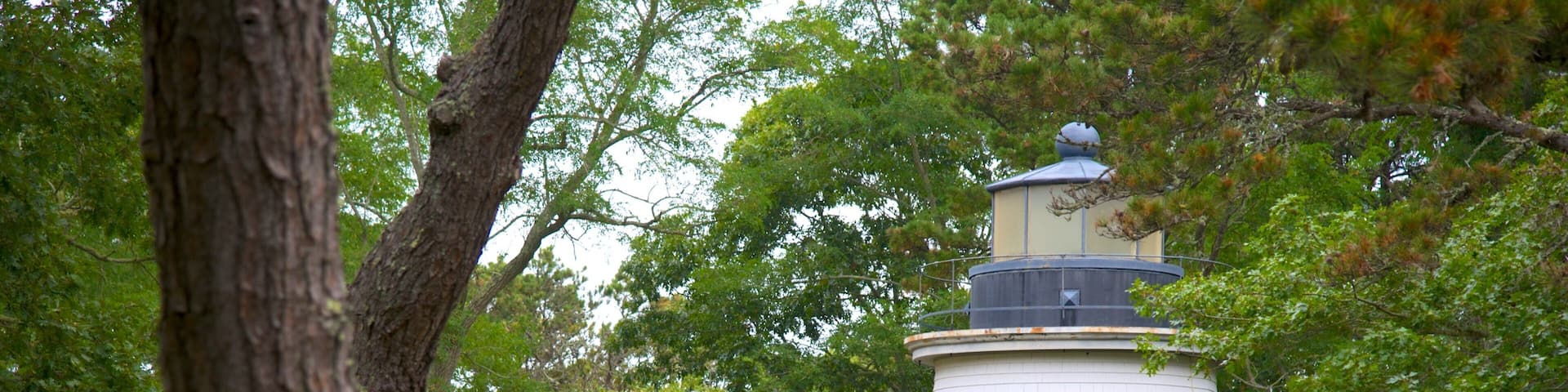 The Three Sisters Lighthouses which includes a lighthouse and a park