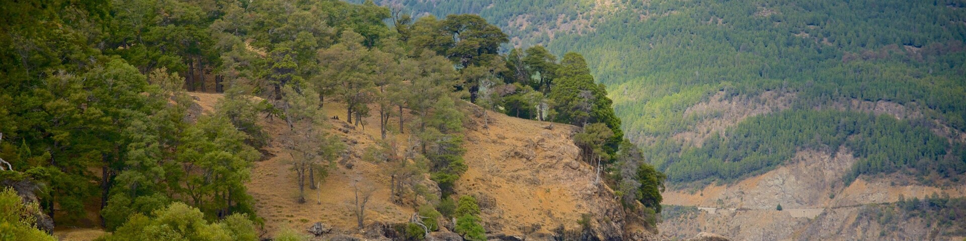 San Martin de los Andes showing tranquil scenes and a lake or waterhole
