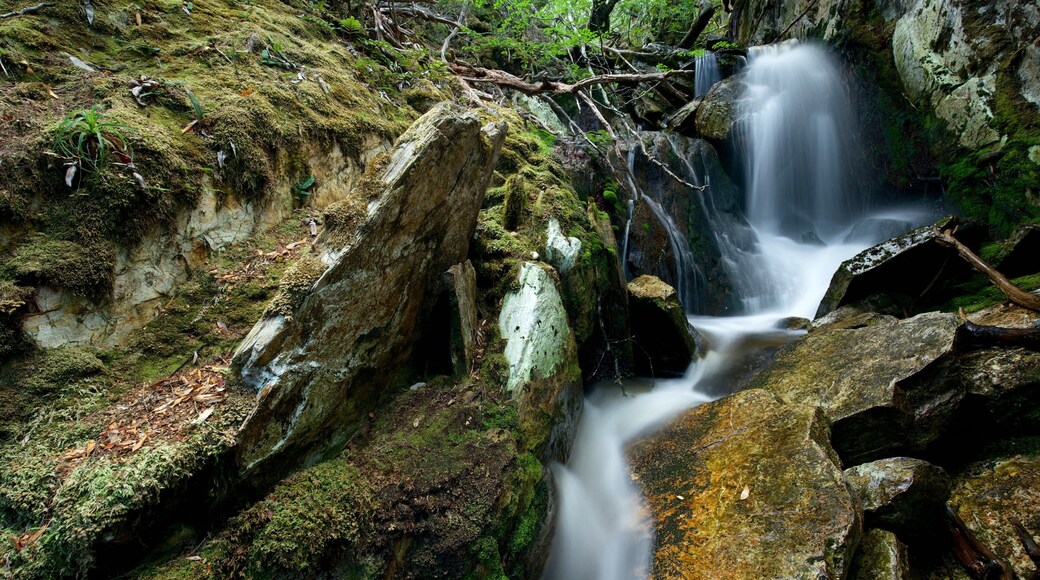 Cradle Mountain showing a cascade